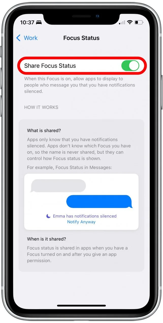 What is Shared Focus Status on iPhone?